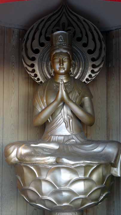 This picture is for quick loading of picture.