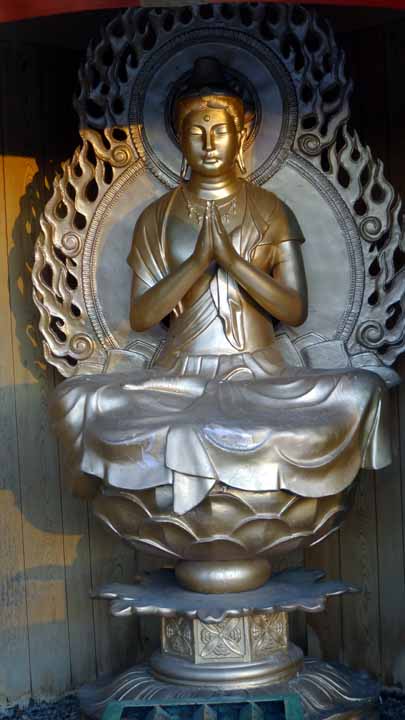 This picture is for quick loading of picture.