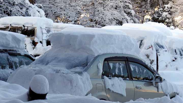 This picture is for quick loading of picture.