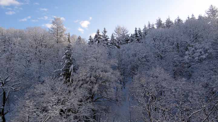 This picture is for quick loading of picture.