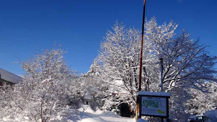 This picture is for quick loading of picture.