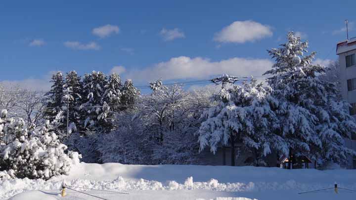 This picture is for quick loading of picture.