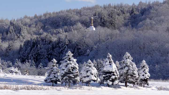 This picture is for quick loading of picture.