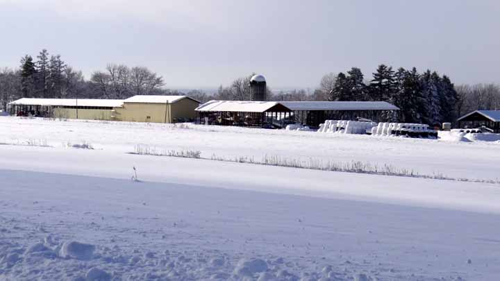 This picture is for quick loading of picture.