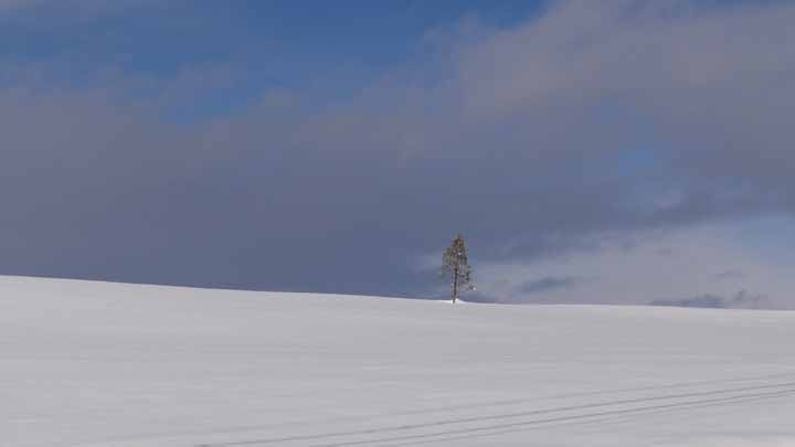 This picture is for quick loading of picture.