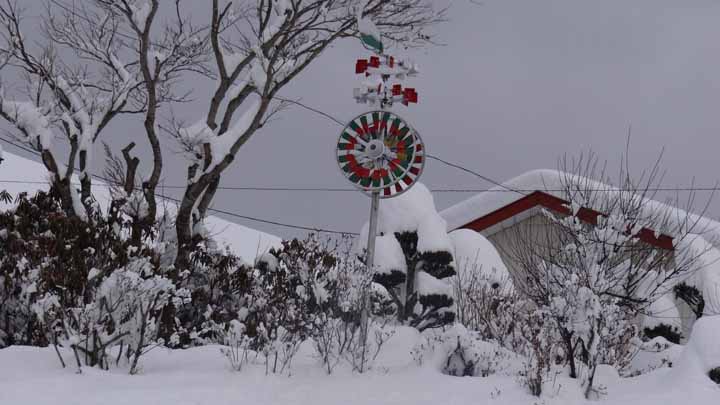 This picture is for quick loading of picture.