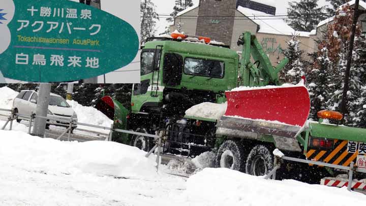 This picture is for quick loading of picture.