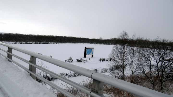 This picture is for quick loading of picture.