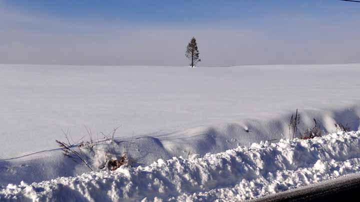 This picture is for quick loading of picture.