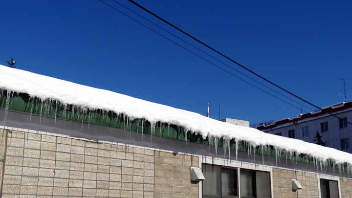 This picture is for quick loading of picture.