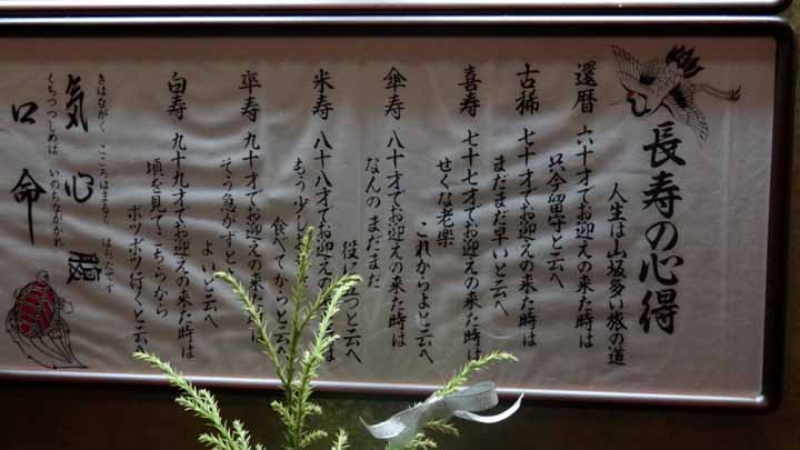 This picture is for quick loading of picture.