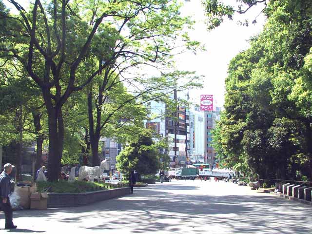 IMG_3661.jpg
 ORG[640 x 480] NOW[ 640 x 480]
(�␳�O�{�����{���␳������100���ŕ\����)