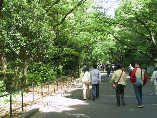 This picture is for quick loading of picture.