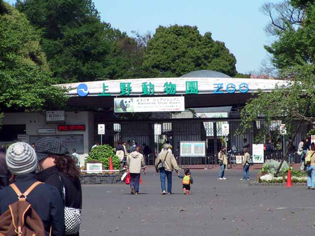 This picture is for quick loading of picture.