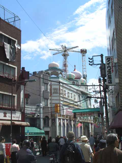 This picture is for quick loading of picture.