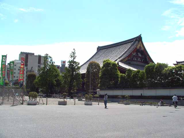 This picture is for quick loading of picture.