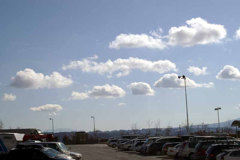 This picture is for quick loading of picture.