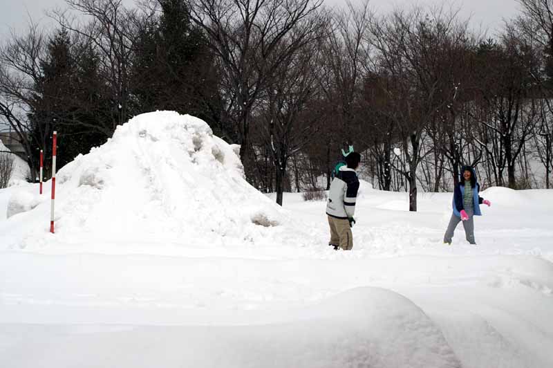 This picture is for quick loading of picture.