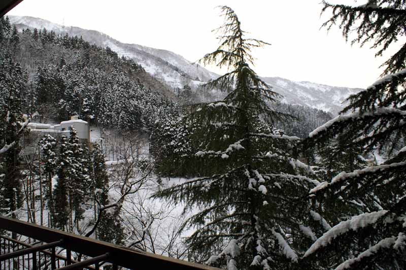 This picture is for quick loading of picture.