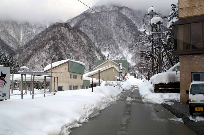 This picture is for quick loading of picture.