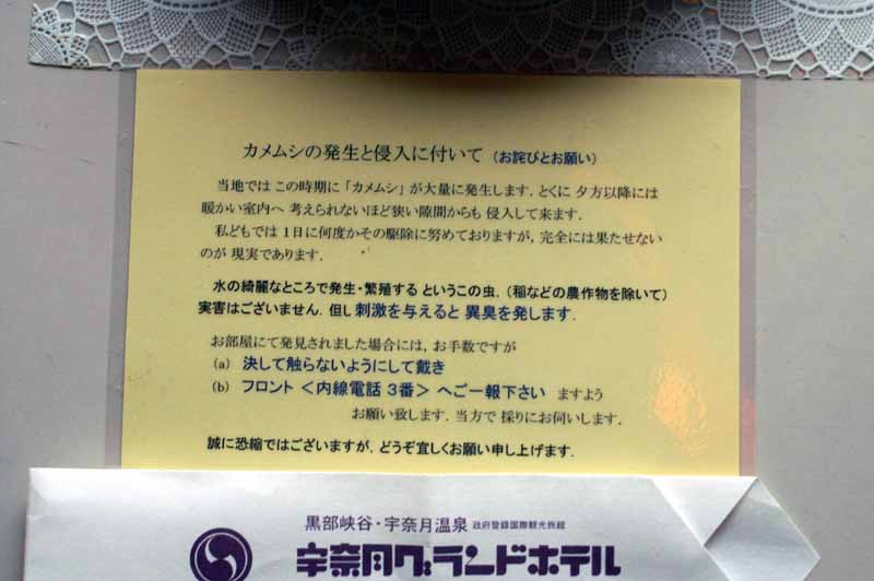 PICT1980.jpg
 ORG[800 x 532] NOW[ 800 x 532]
(�␳�O�{�����{���␳������100���ŕ\����)