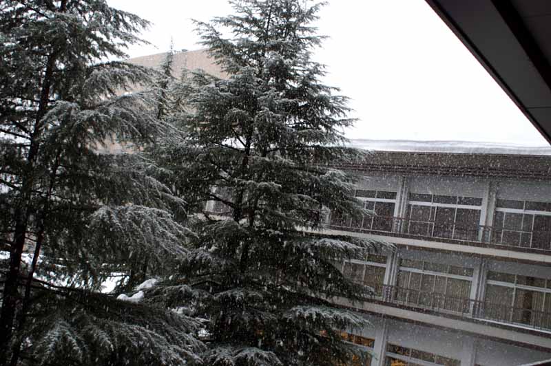 This picture is for quick loading of picture.