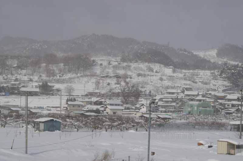 This picture is for quick loading of picture.