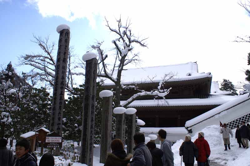 This picture is for quick loading of picture.