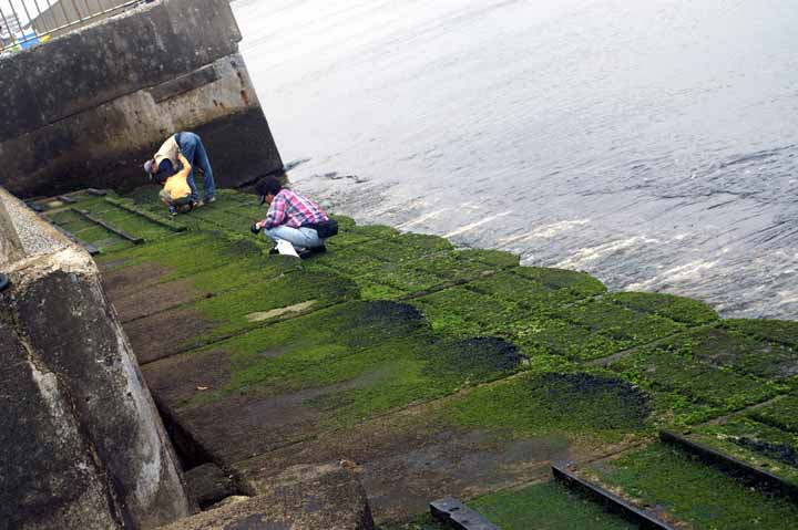 This picture is for quick loading of picture.