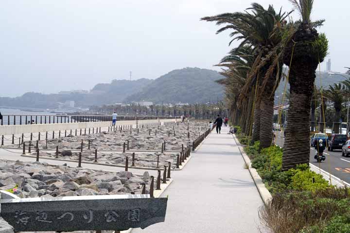 This picture is for quick loading of picture.