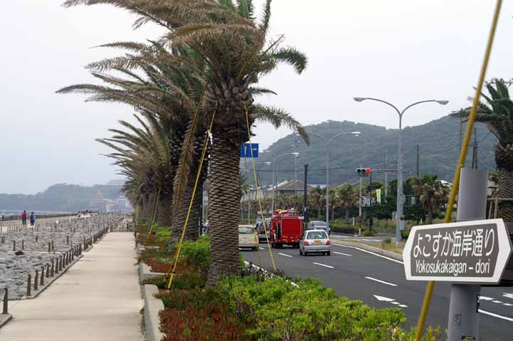 This picture is for quick loading of picture.