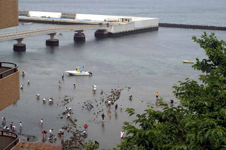 This picture is for quick loading of picture.