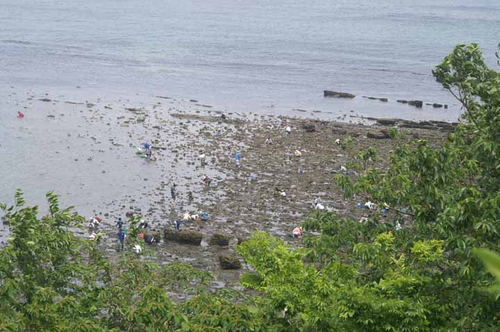 This picture is for quick loading of picture.