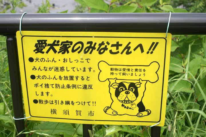 This picture is for quick loading of picture.