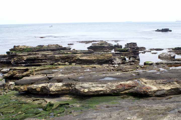 This picture is for quick loading of picture.