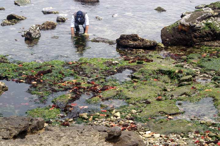 This picture is for quick loading of picture.