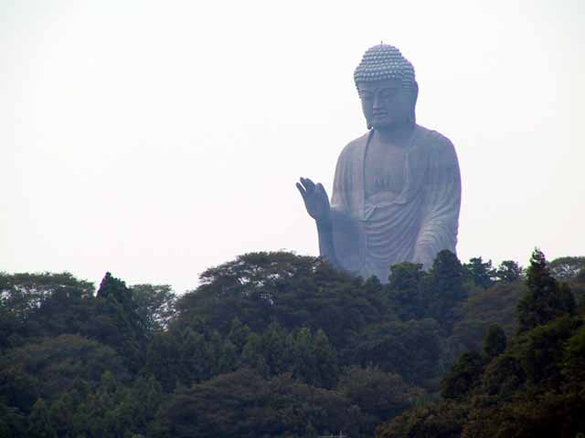 This picture is for quick loading of picture.