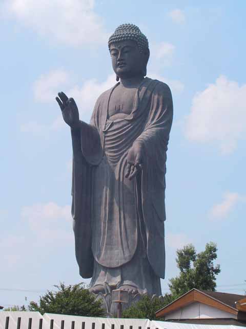 This picture is for quick loading of picture.