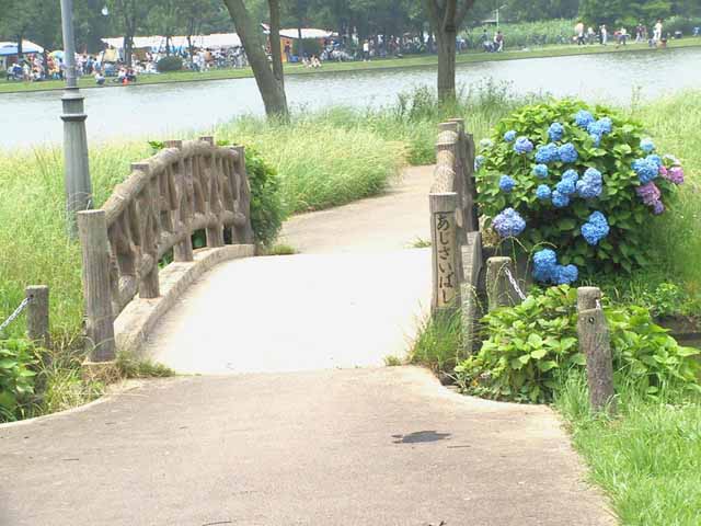 This picture is for quick loading of picture.