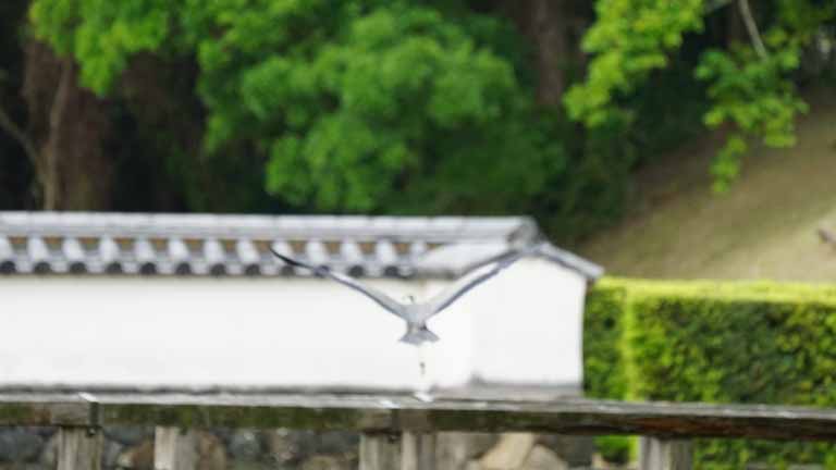 This picture is for quick loading of picture.