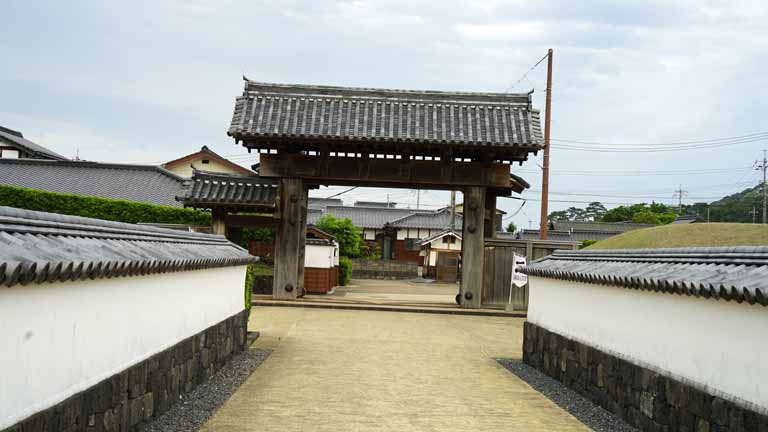 This picture is for quick loading of picture.