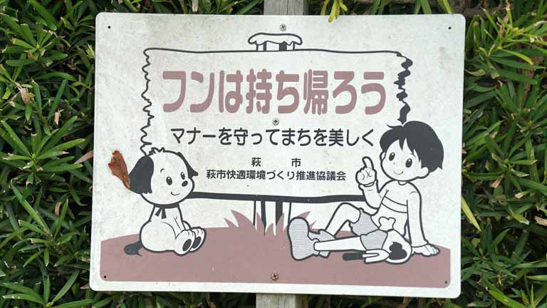 This picture is for quick loading of picture.