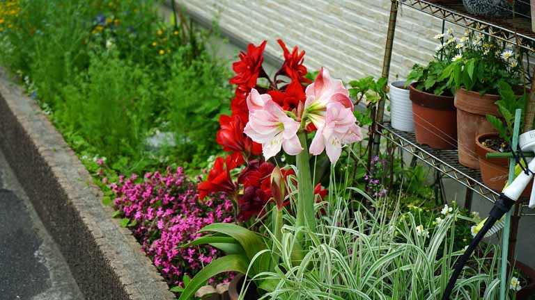 This picture is for quick loading of picture.