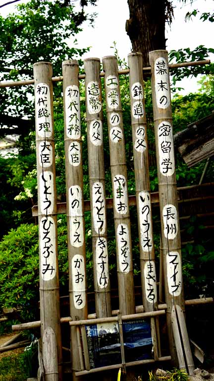 This picture is for quick loading of picture.