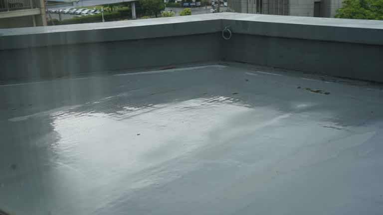 This picture is for quick loading of picture.