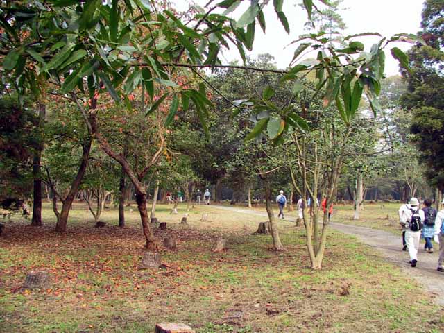 This picture is for quick loading of picture.