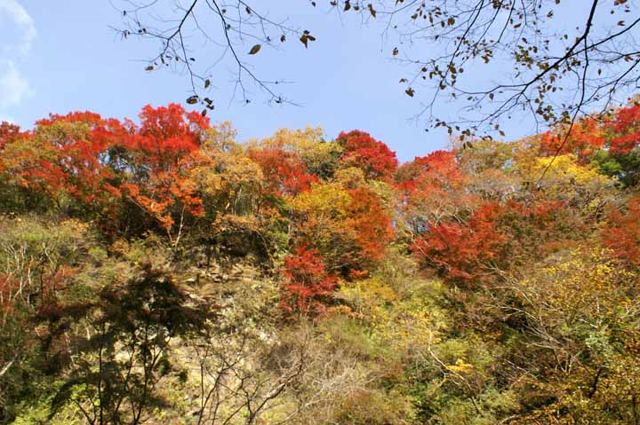 This picture is for quick loading of picture.