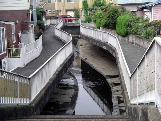 This picture is for quick loading of picture.