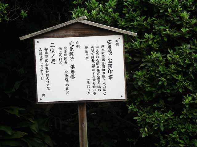 This picture is for quick loading of picture.